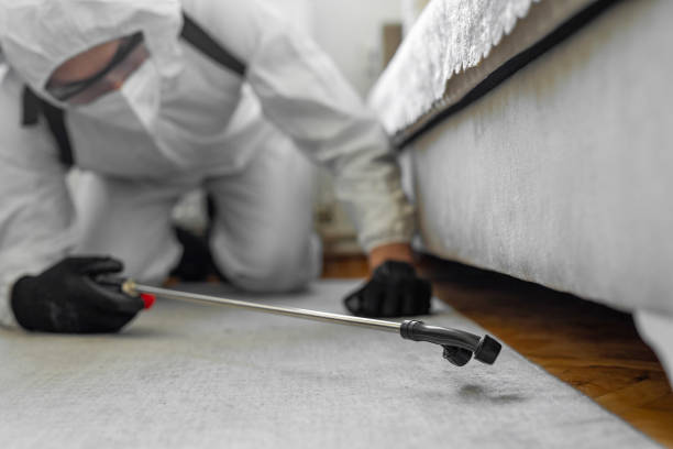 Professional Ant Control technician working in La Homa, TX