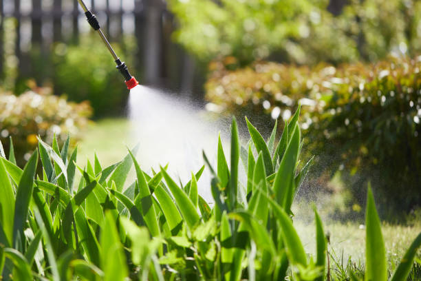 24/7 Emergency Ant Control experts in La Homa, TX