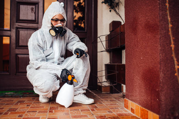 Reliable Ant Control contractor in La Homa, TX by Nex Pest Control