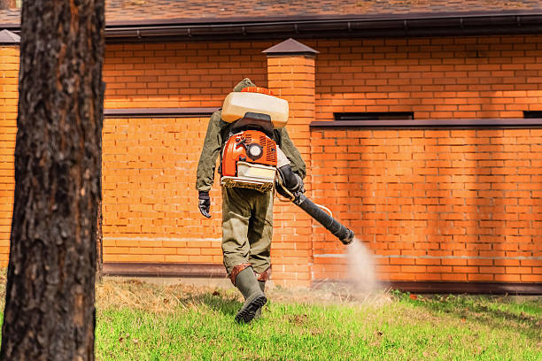Trusted Rodent Control service in La Homa, TX - Nex Pest Control